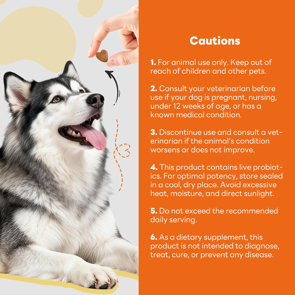 CleverasHealth dog relaxed after taking an allergy relief chew
