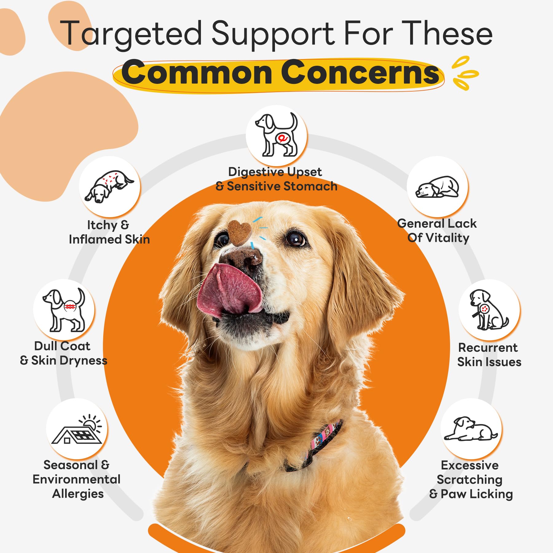 CleverasHealth dog allergy relief chews label featuring key ingredients