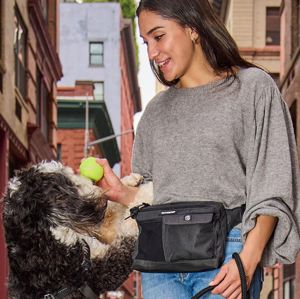 Cleverpup sling bag built-in squeaker supports training sessions on the go.