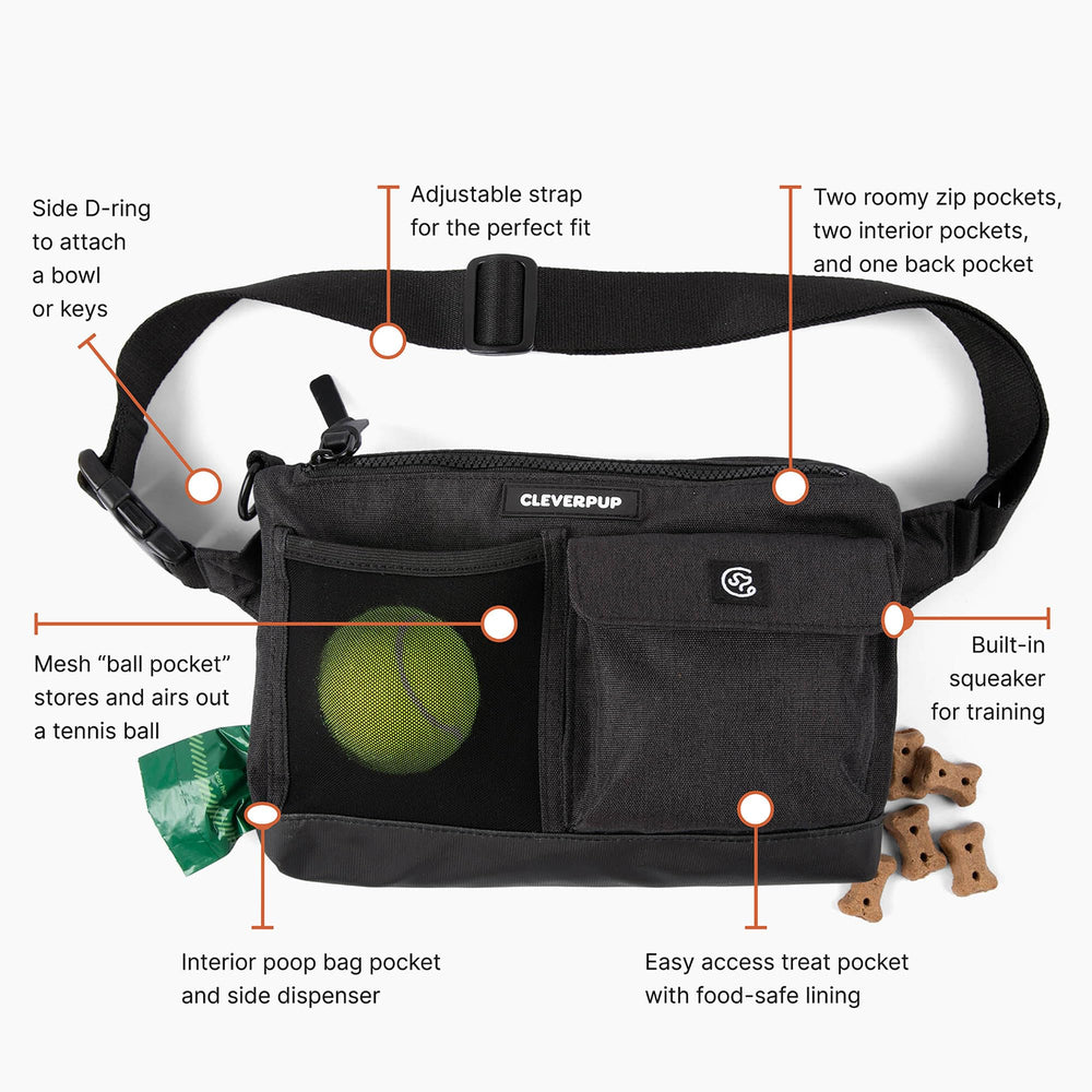 Cleverpup sling bag quick-drying ball pocket for water play and fetch.