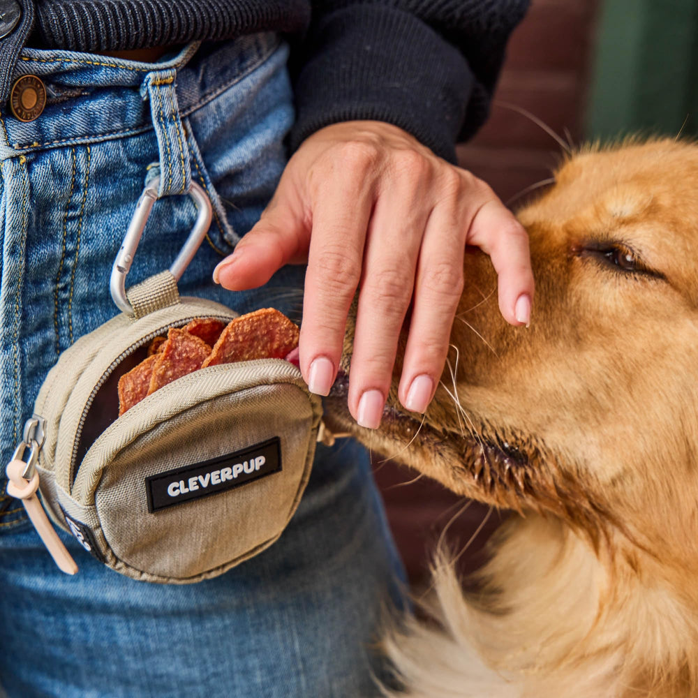 Cleverpup Snackpack 1.5 cup capacity ideal for training sessions.