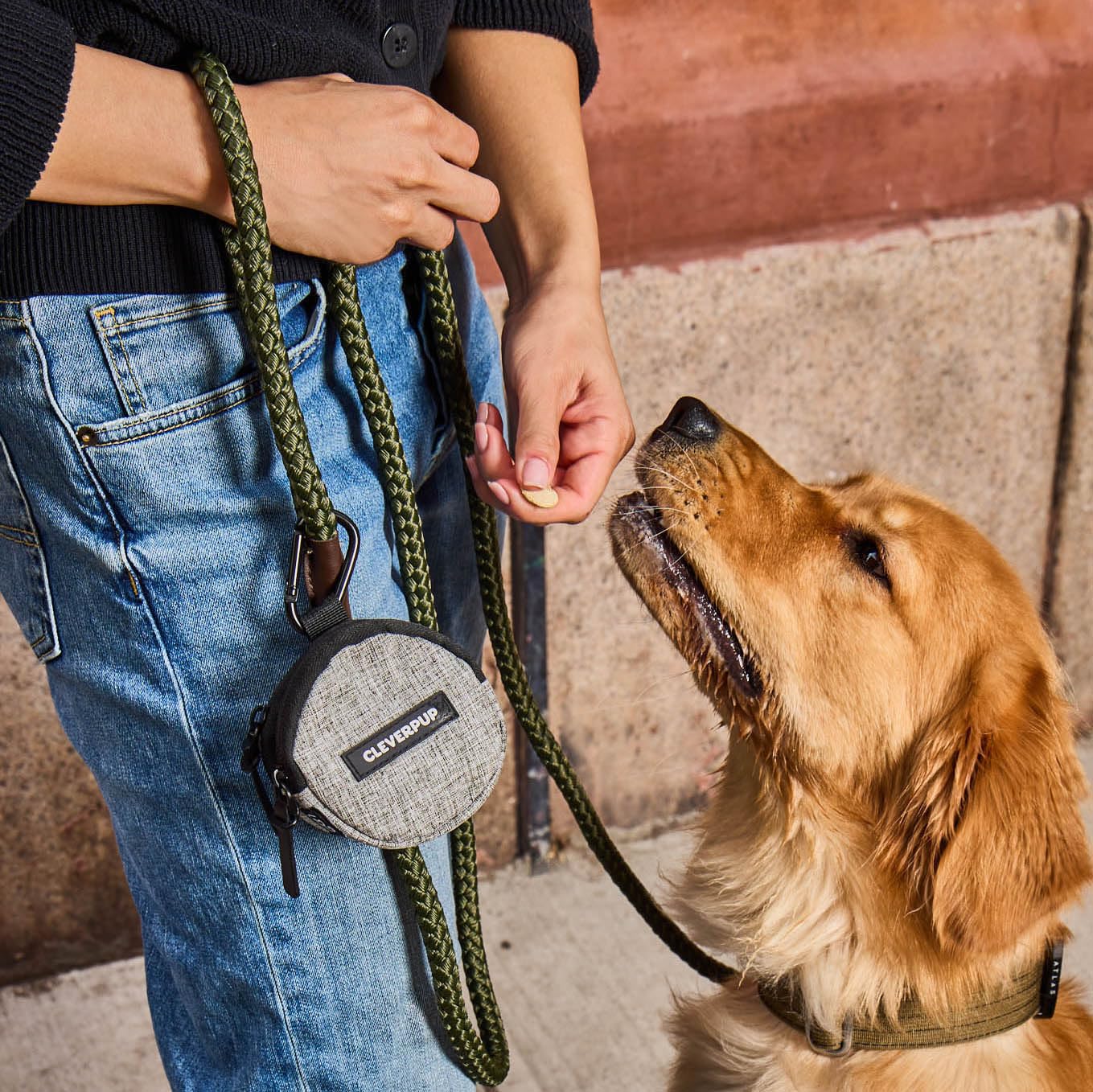 Cleverpup Snackpack carabiner attachment secures the pouch to your leash or belt.
