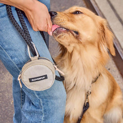 Cleverpup Snackpack waterproof lining protects treats during rain and splashes.