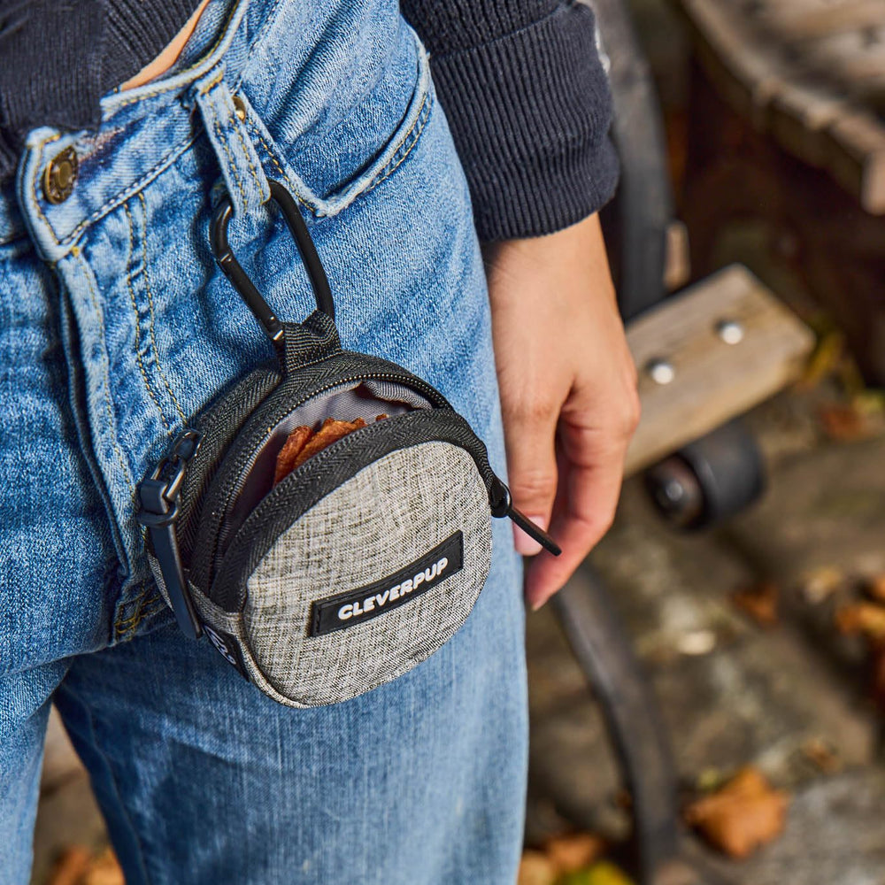Cleverpup Snackpack waterproof lining protects treats from moisture during outdoor trips.