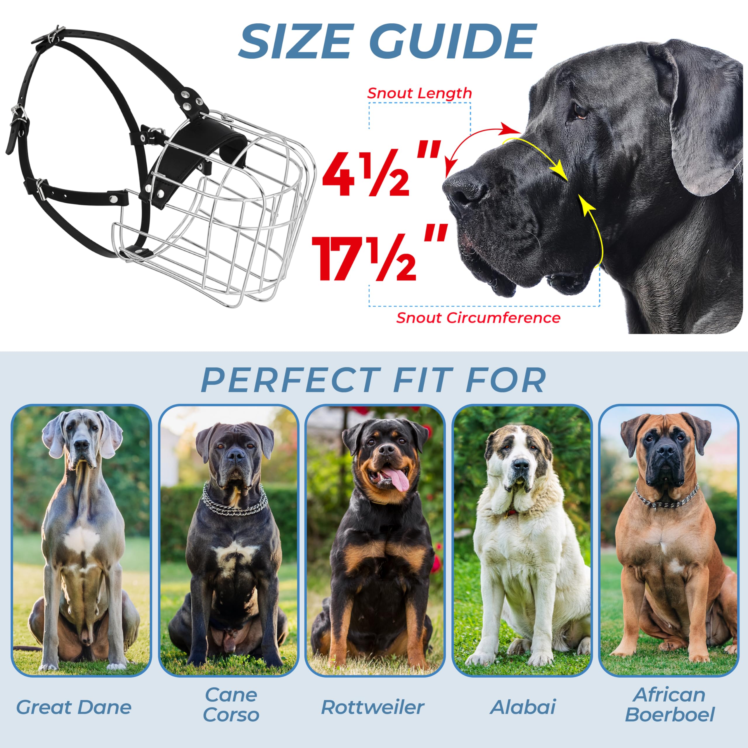 CleverTail adjustable leather straps on dog muzzle for a customized fit.