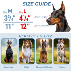 CleverTail dog muzzle adjustable straps featured for easy, snug customization on big breeds