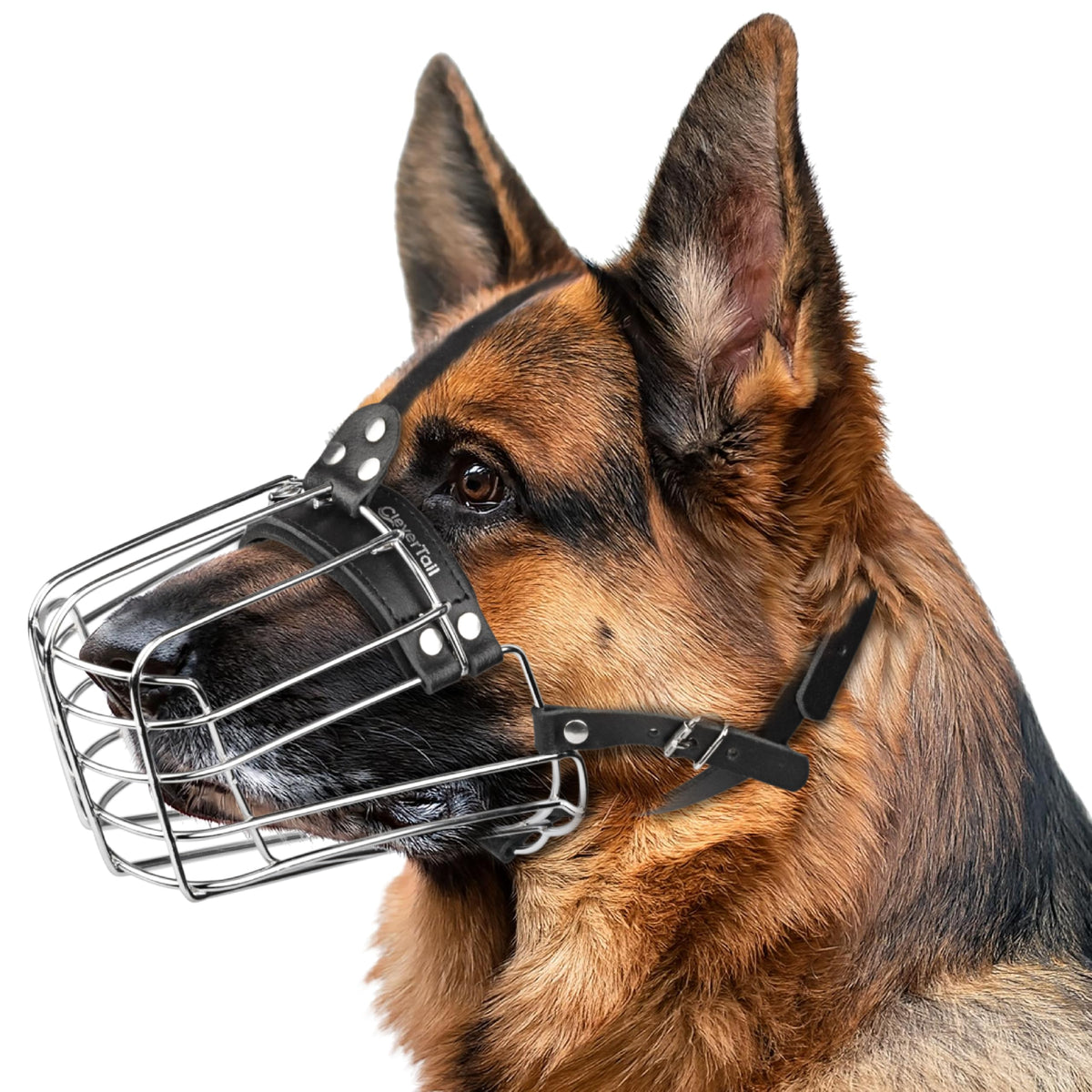 CleverTail dog muzzle with metal basket, front view, for secure grooming.