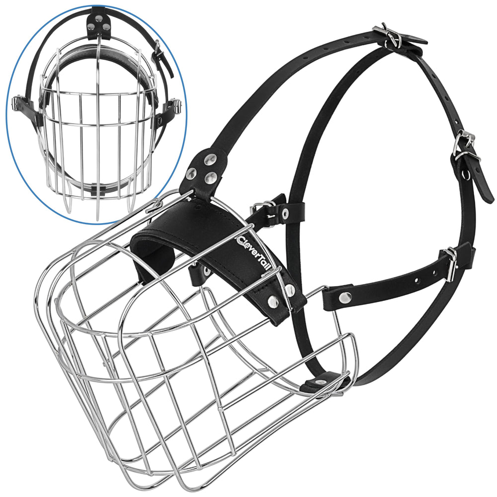 CleverTail extra-large dog muzzle on a Great Dane, secure fit for daily use.