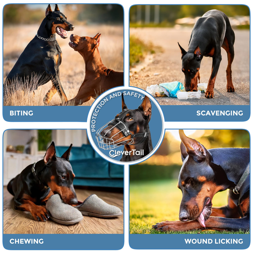 CleverTail large dog muzzle fits long-snout breeds with secure, comfortable restraint