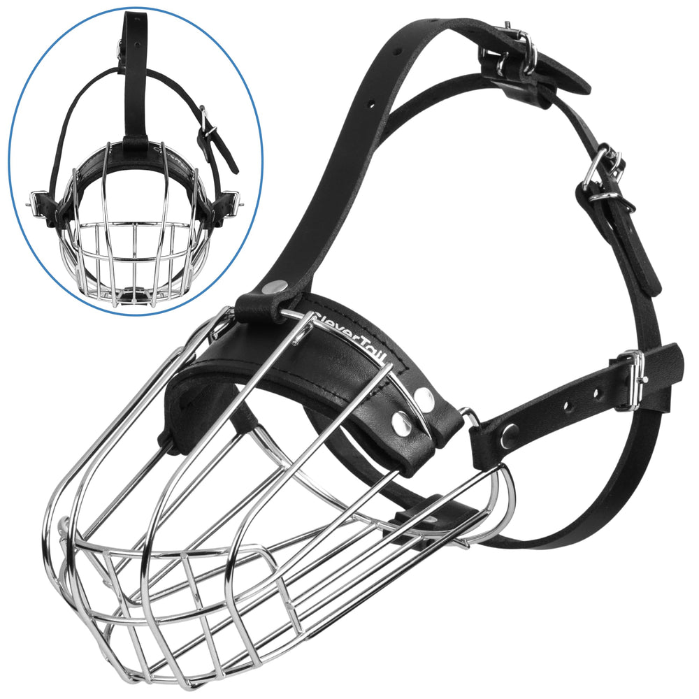 CleverTail metal basket muzzle highlights durable steel and protective design for training sessions