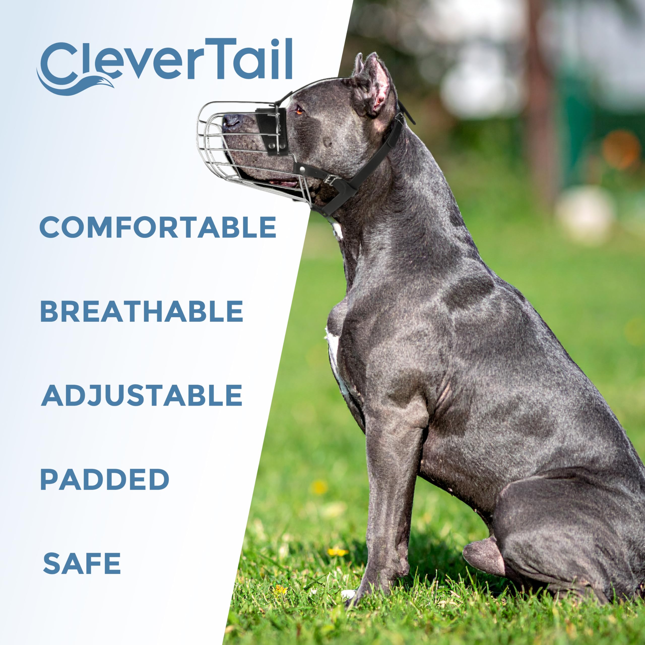 CleverTail Metal Pitbull Muzzle supports active dogs during training and walks.