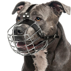 CleverTail Metal Pitbull Muzzle front view shows secure basket for safe handling.
