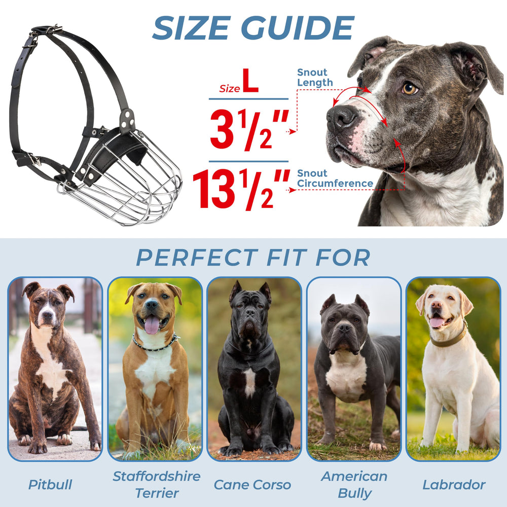 CleverTail Metal Pitbull Muzzle steel basket construction delivers durability and security.