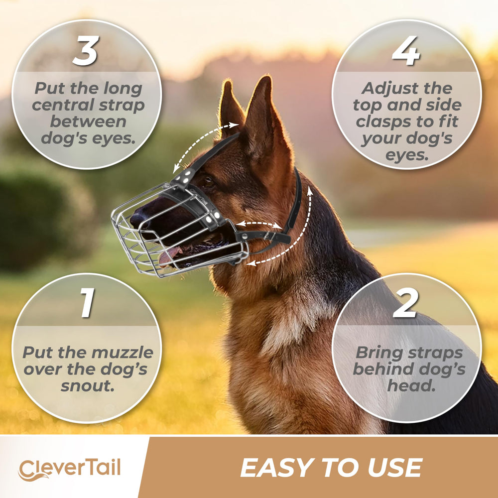 CleverTail muzzle ideal for vet visits and grooming sessions.