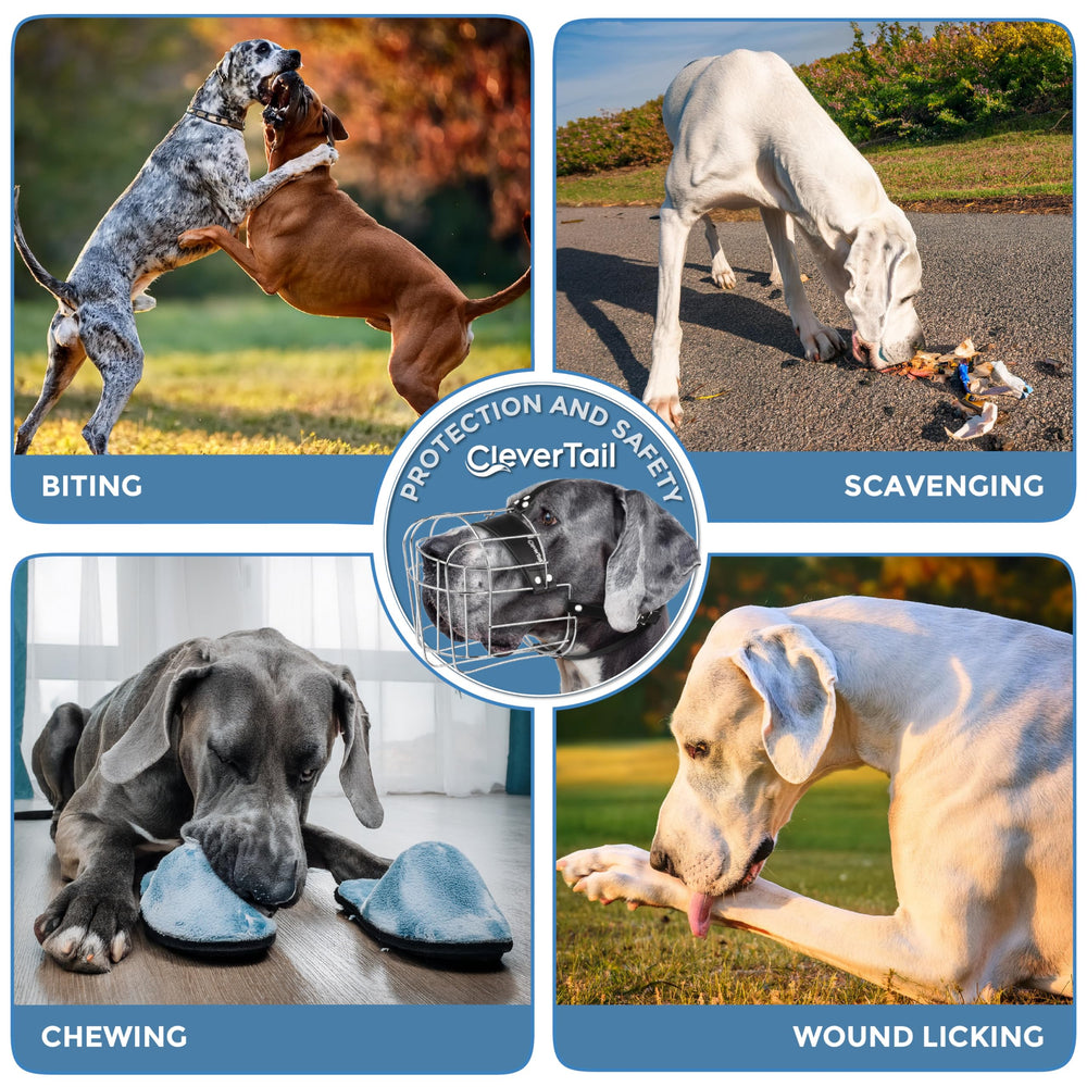 CleverTail muzzle shown during vet or grooming visits for easier handling.