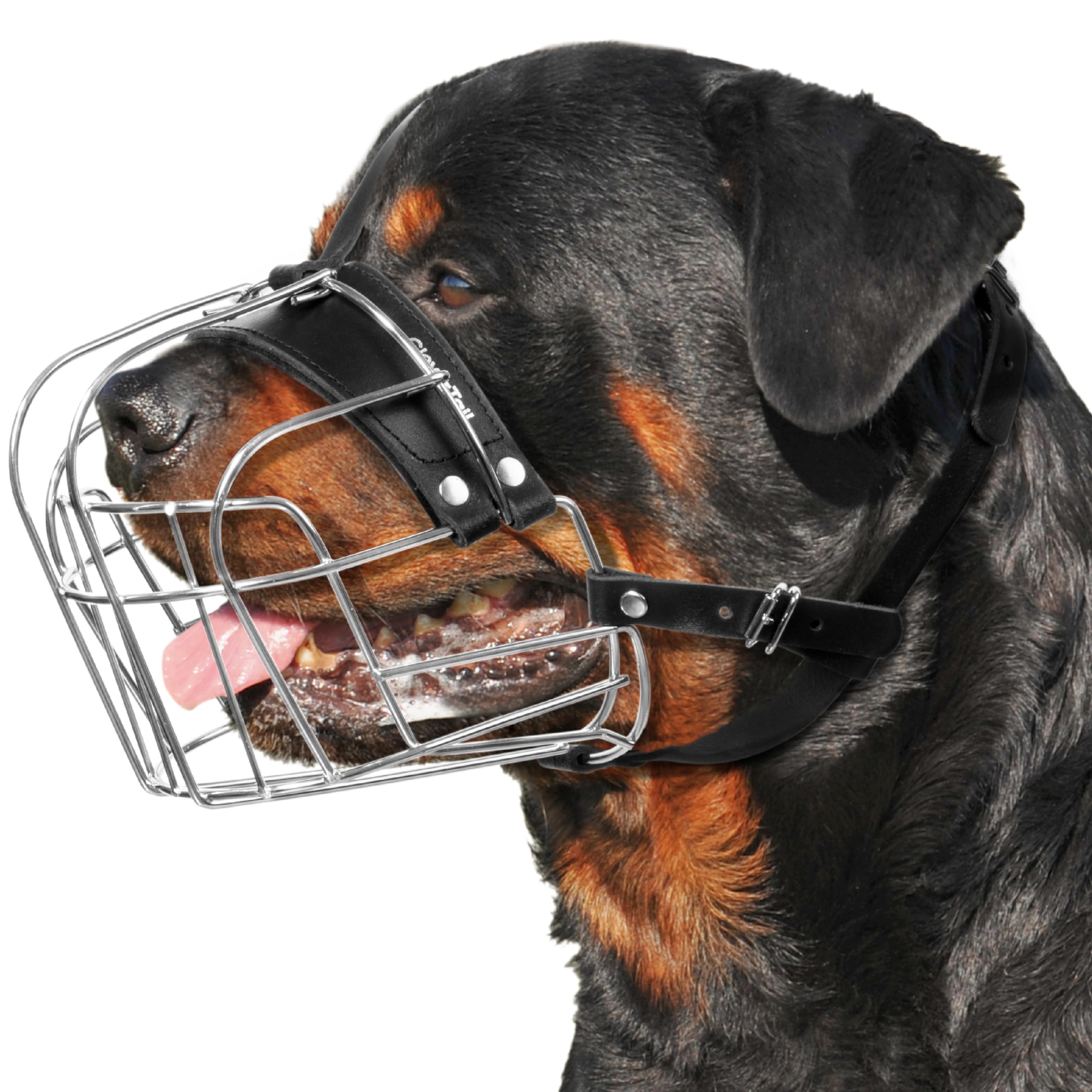 CleverTail XL metal muzzle on a large dog shows a secure fit.