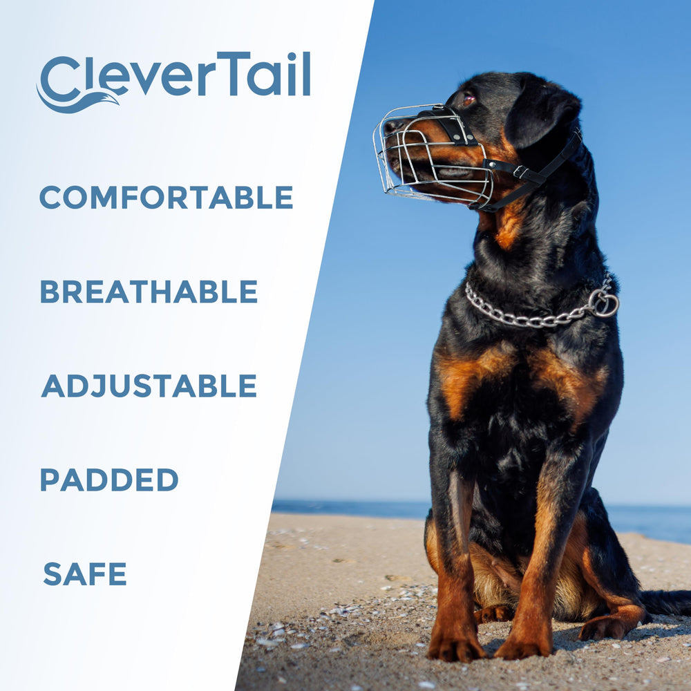 CleverTail large-breed muzzle enables safer training and controlled barking.