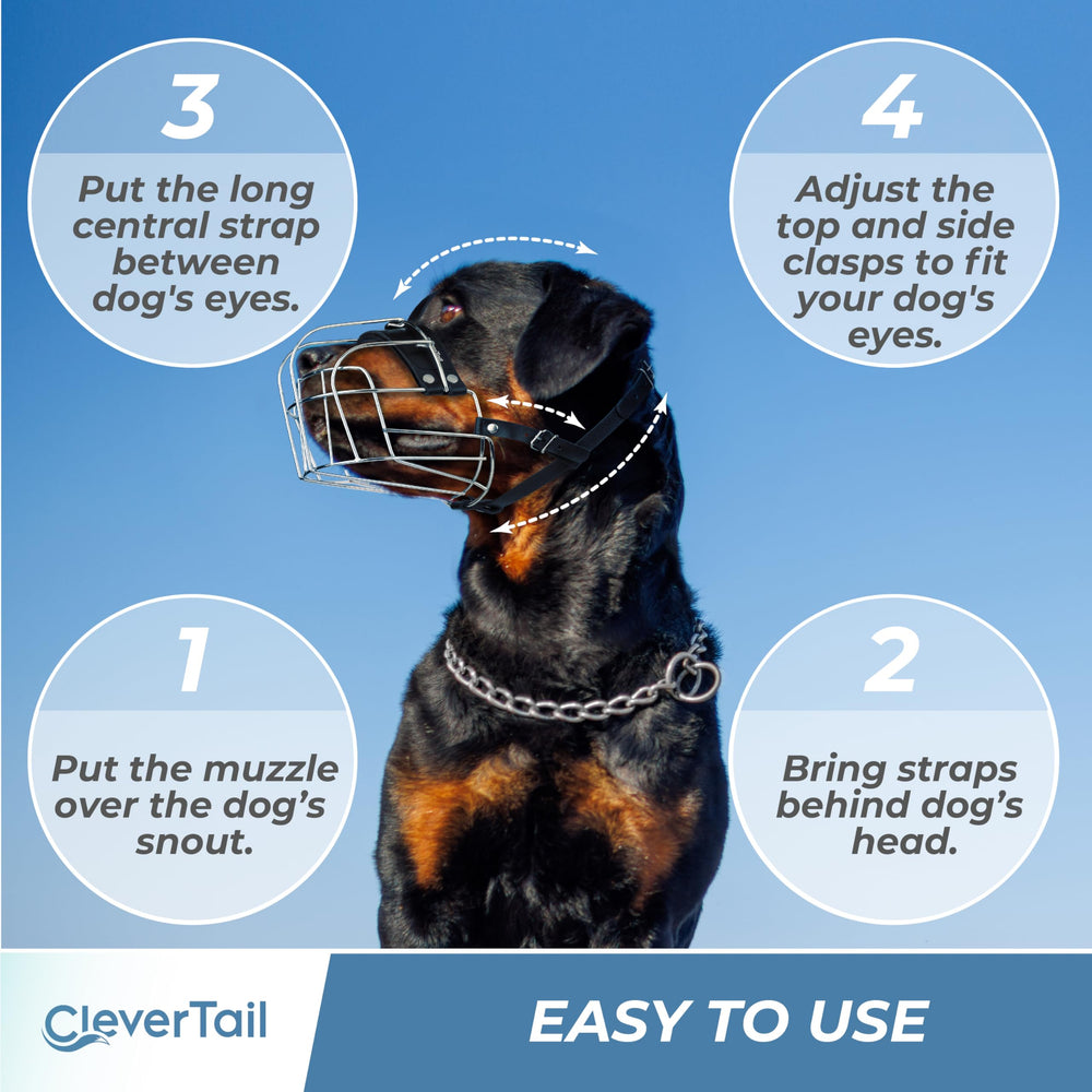 CleverTail vet visit and grooming scenarios depicted for calm handling.