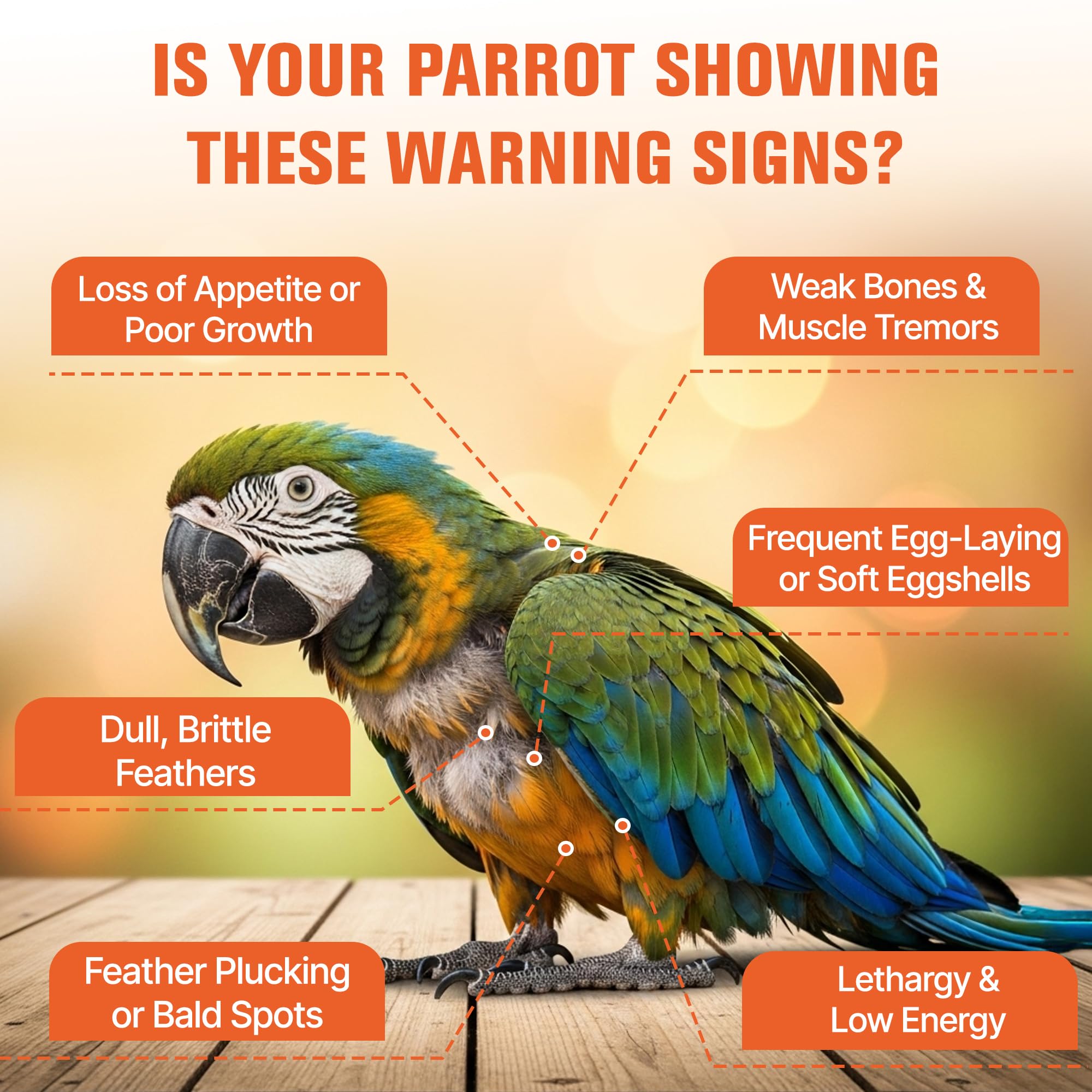 Clidelan supports eggshell health for breeding parrots