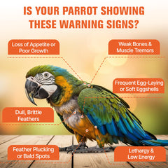 Clidelan supports eggshell health for breeding parrots