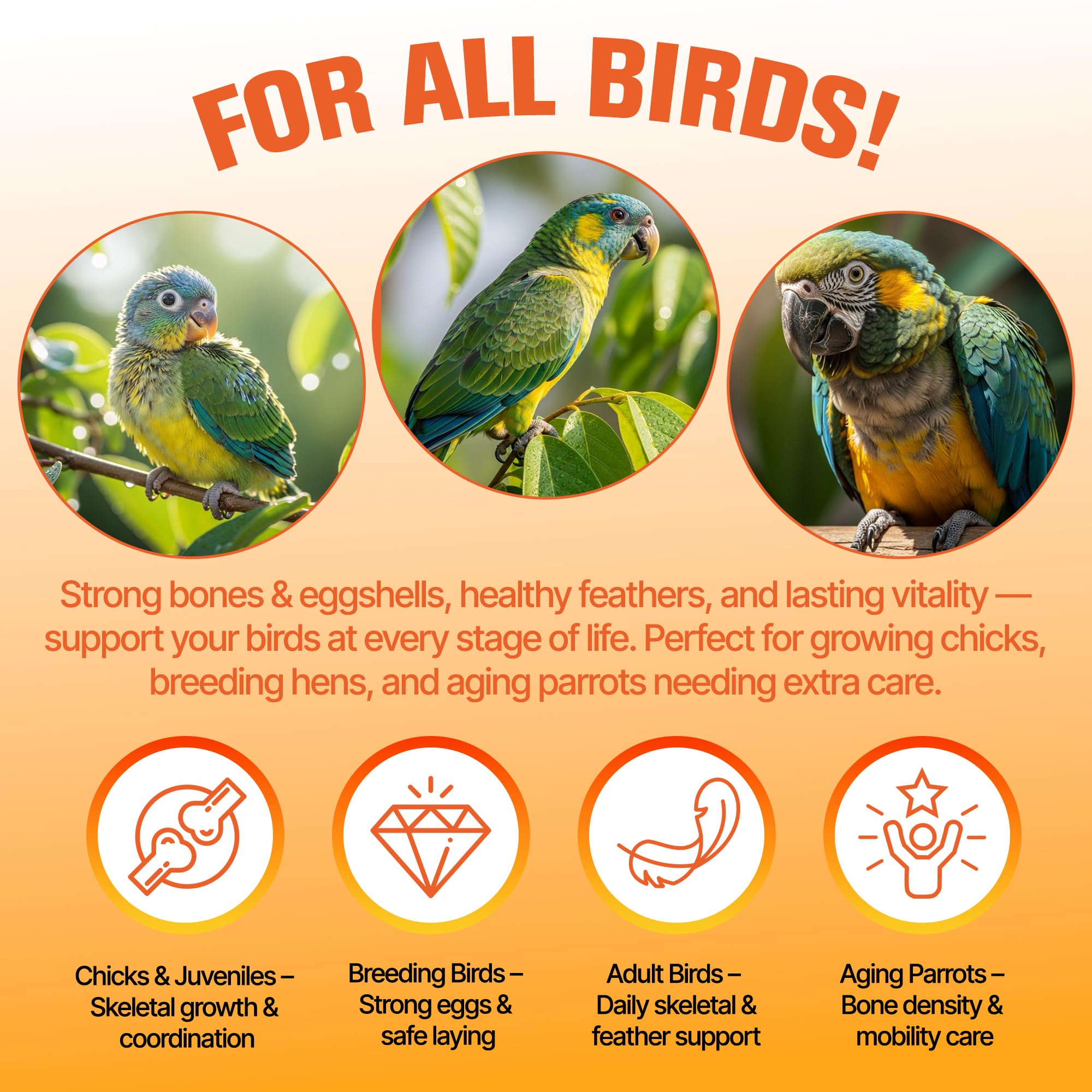 Clidelan aids feather recovery and vitality during molt