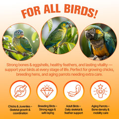 Clidelan aids feather recovery and vitality during molt