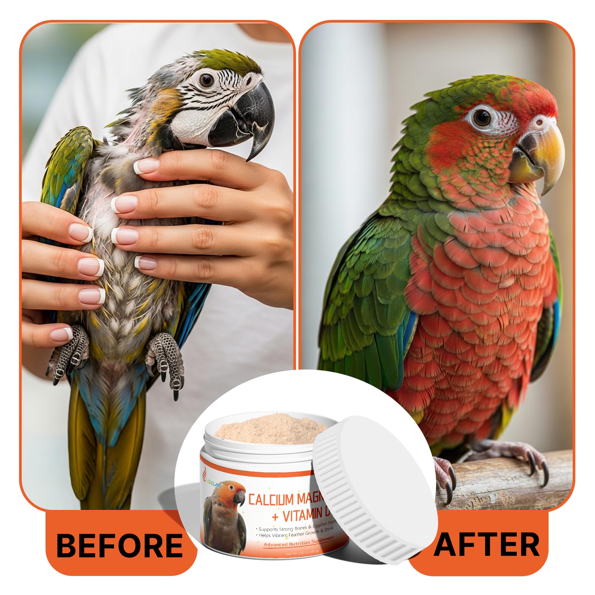 Clidelan molting support aids resilience during shedding