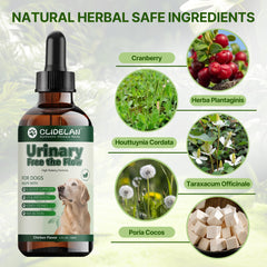 Clidelan dandelion-poria blend visual signals support for healthy urine flow