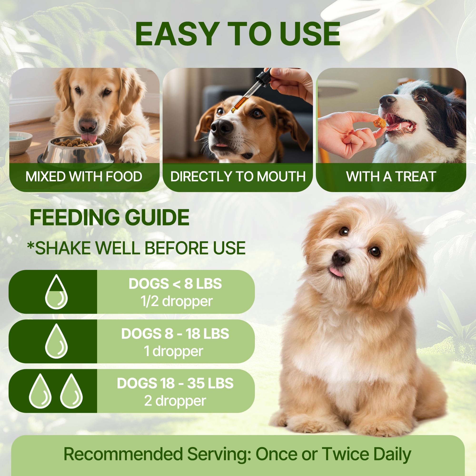 Clidelan dog-urinary-health scene hints potential comfort during flare-ups
