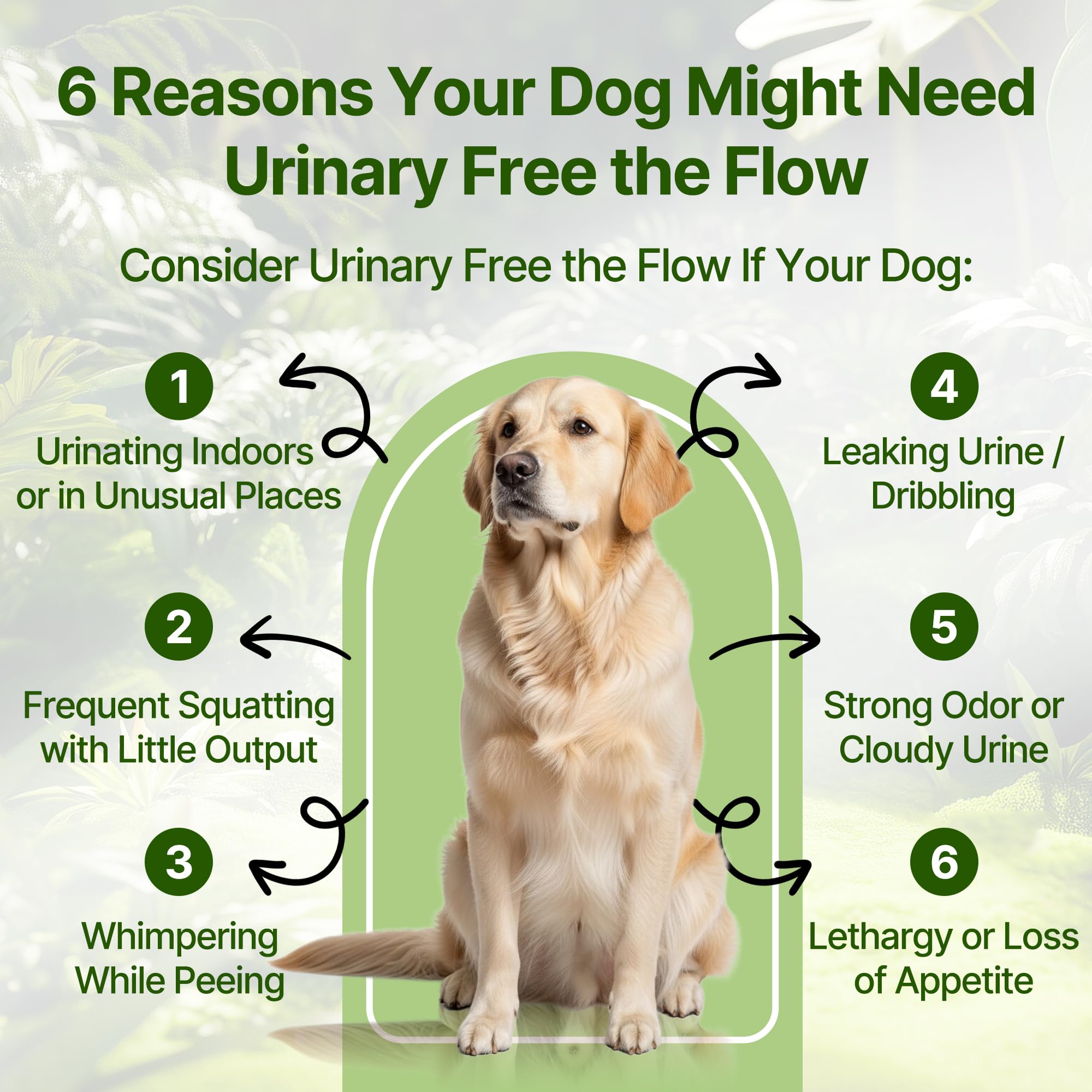 Clidelan liquid-drops close-up highlights easy daily dosing for dogs