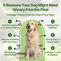 Clidelan liquid-drops close-up highlights easy daily dosing for dogs