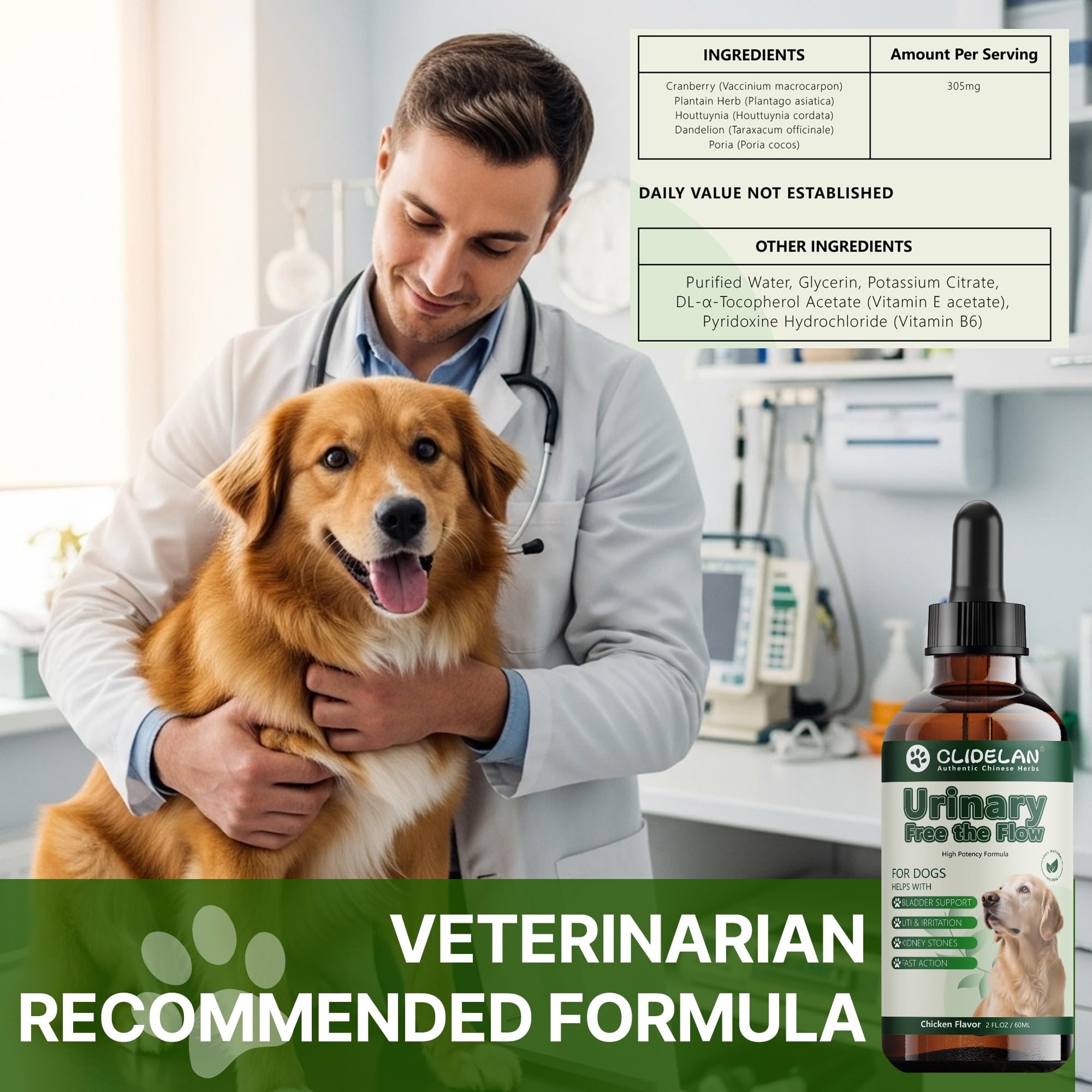 Clidelan packaged-label image conveys Vet-informed, safe herbal UTI support