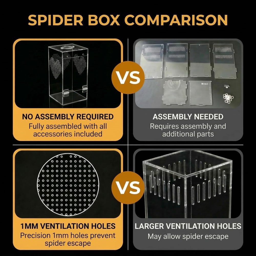 ClimPek Jumping Spider Enclosure 1mm air holes for balanced ventilation