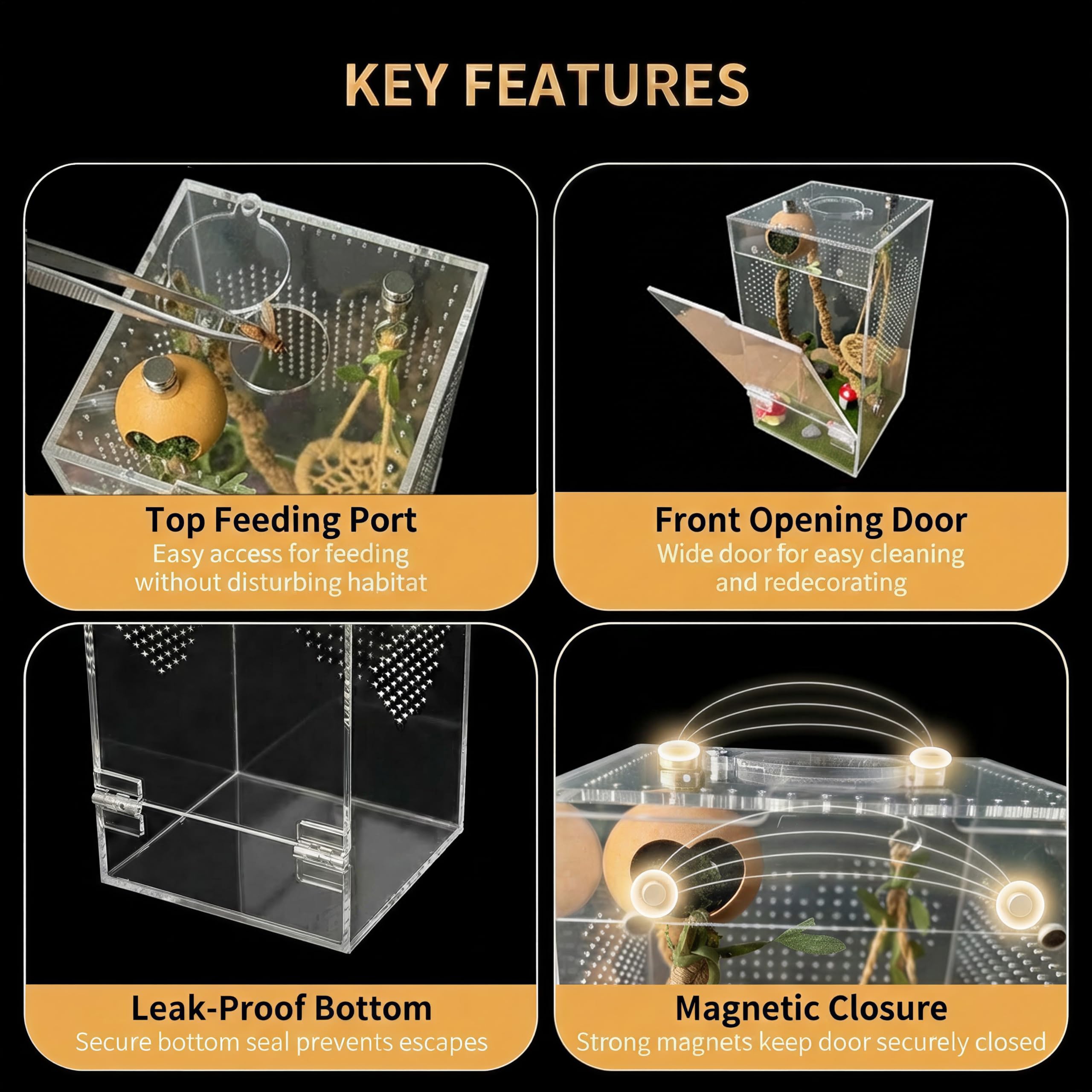 ClimPek Jumping Spider Enclosure clear acrylic view for easy observation