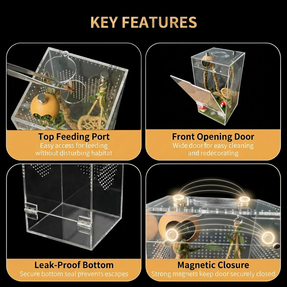 ClimPek Jumping Spider Enclosure clear acrylic view for easy observation
