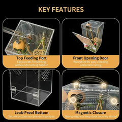 ClimPek Jumping Spider Enclosure clear acrylic view for easy observation