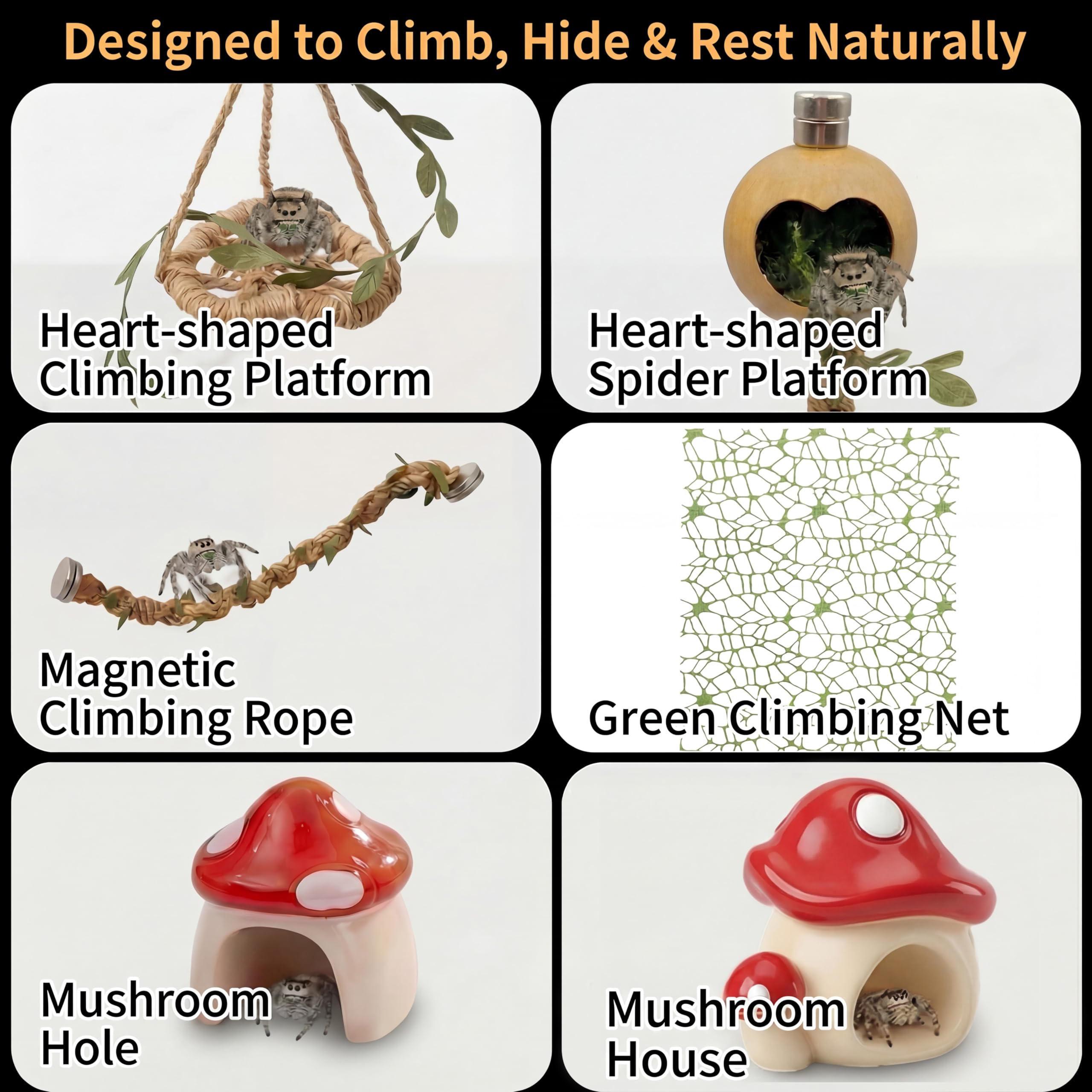 ClimPek Jumping Spider Enclosure heart shaped vent pattern adds style and airflow