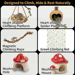 ClimPek Jumping Spider Enclosure heart shaped vent pattern adds style and airflow