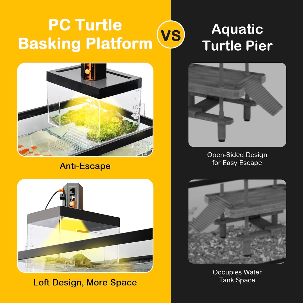 Clioran 360-degree view lets you observe your turtle from all angles.