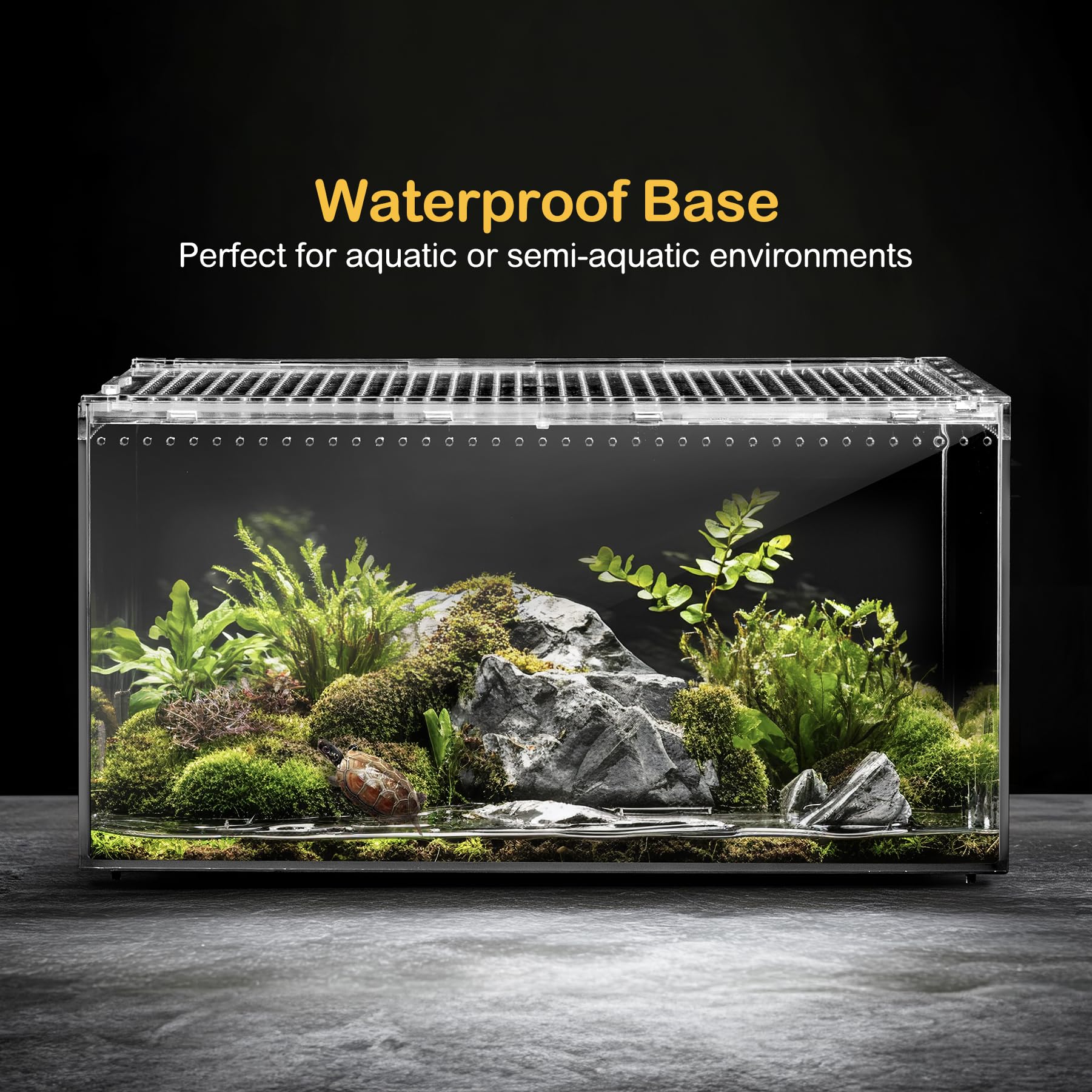 Clioran compact beginner terrarium kit for easy starts