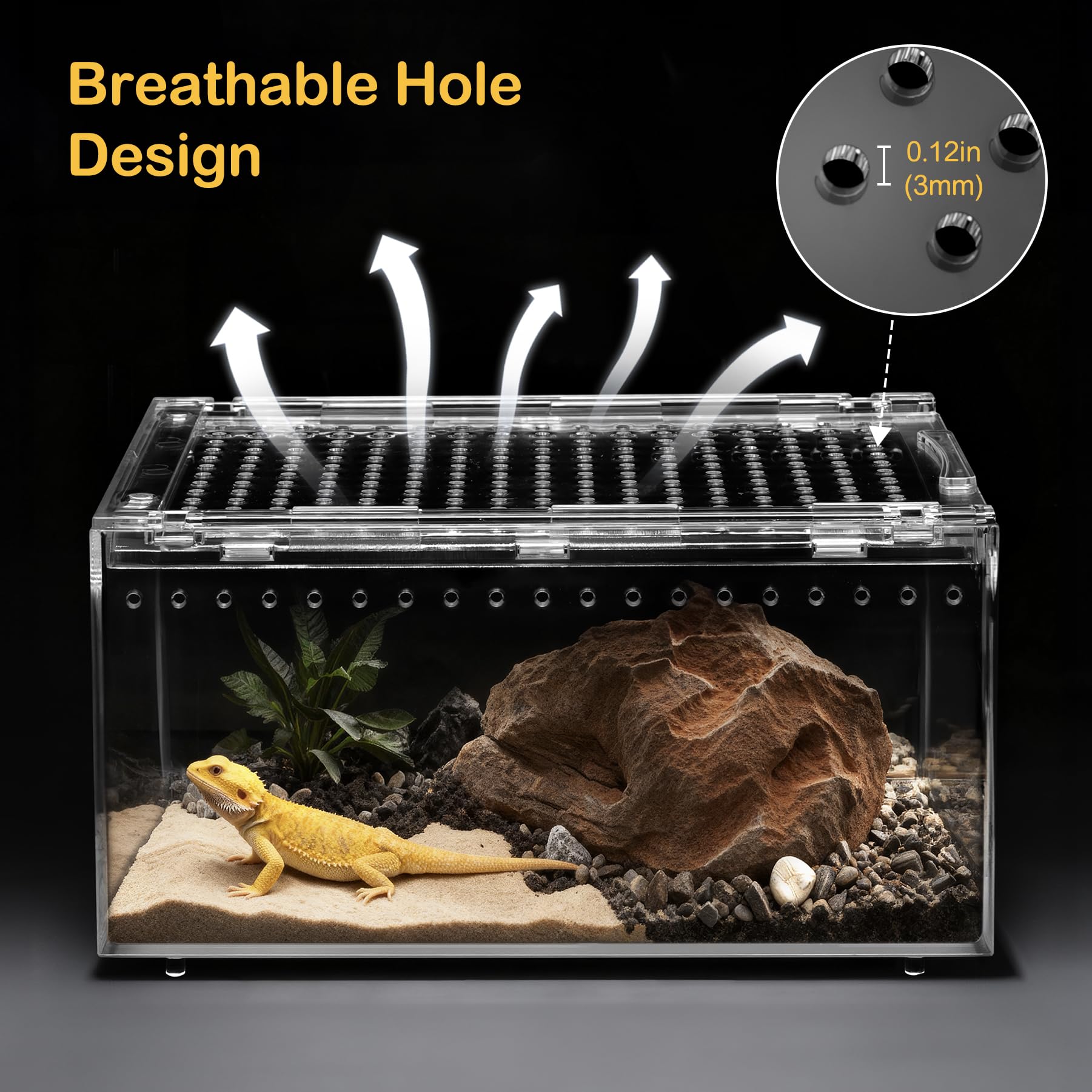 Clioran digital hygrometer helps monitor humidity for healthy habitat.