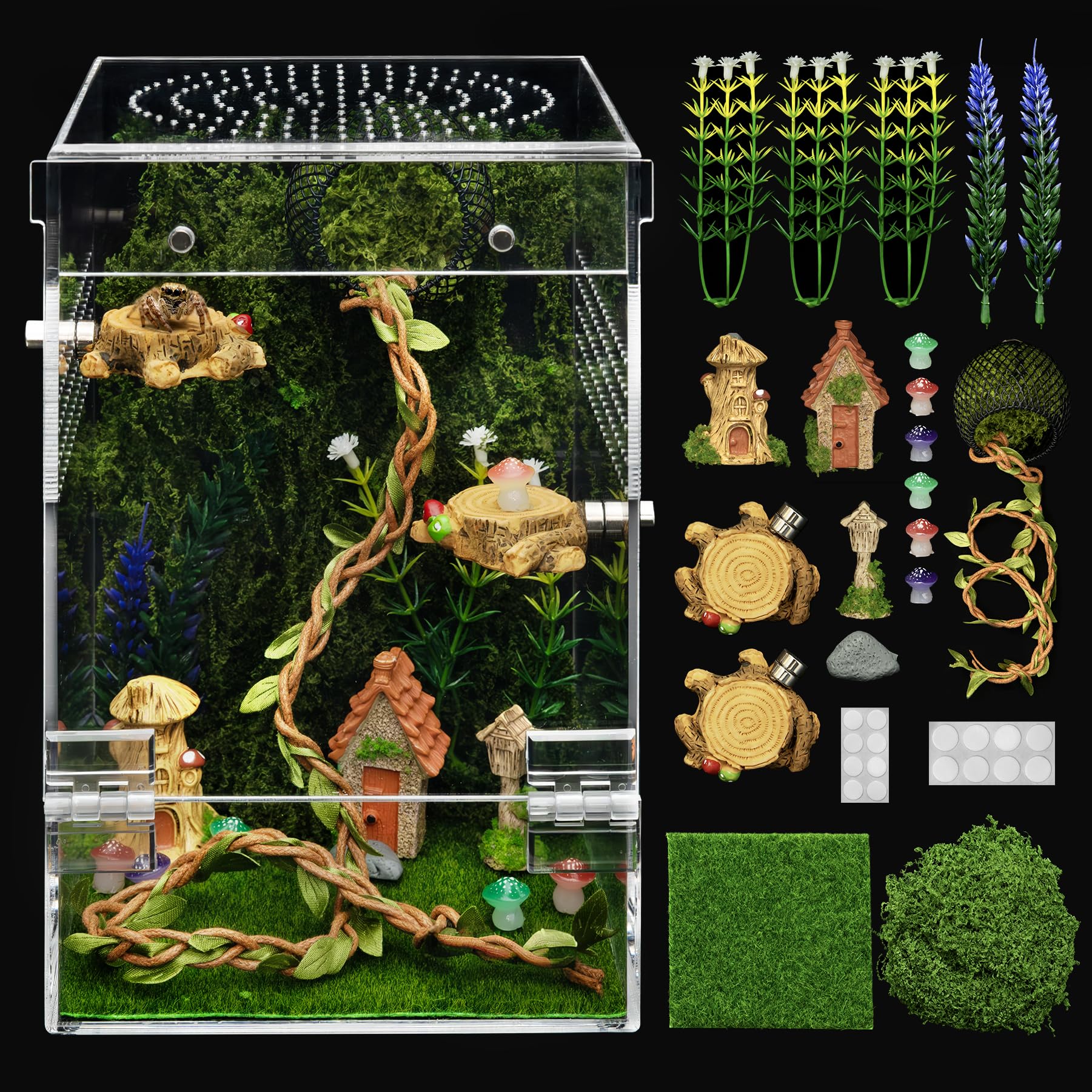 Clioran jumping spider enclosure with escape door keeps spiderlings secure for beginners