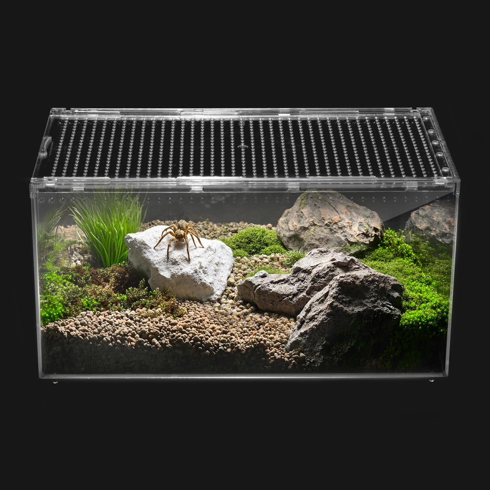 Clioran reptile PC terrarium 360 view for clear pet observation