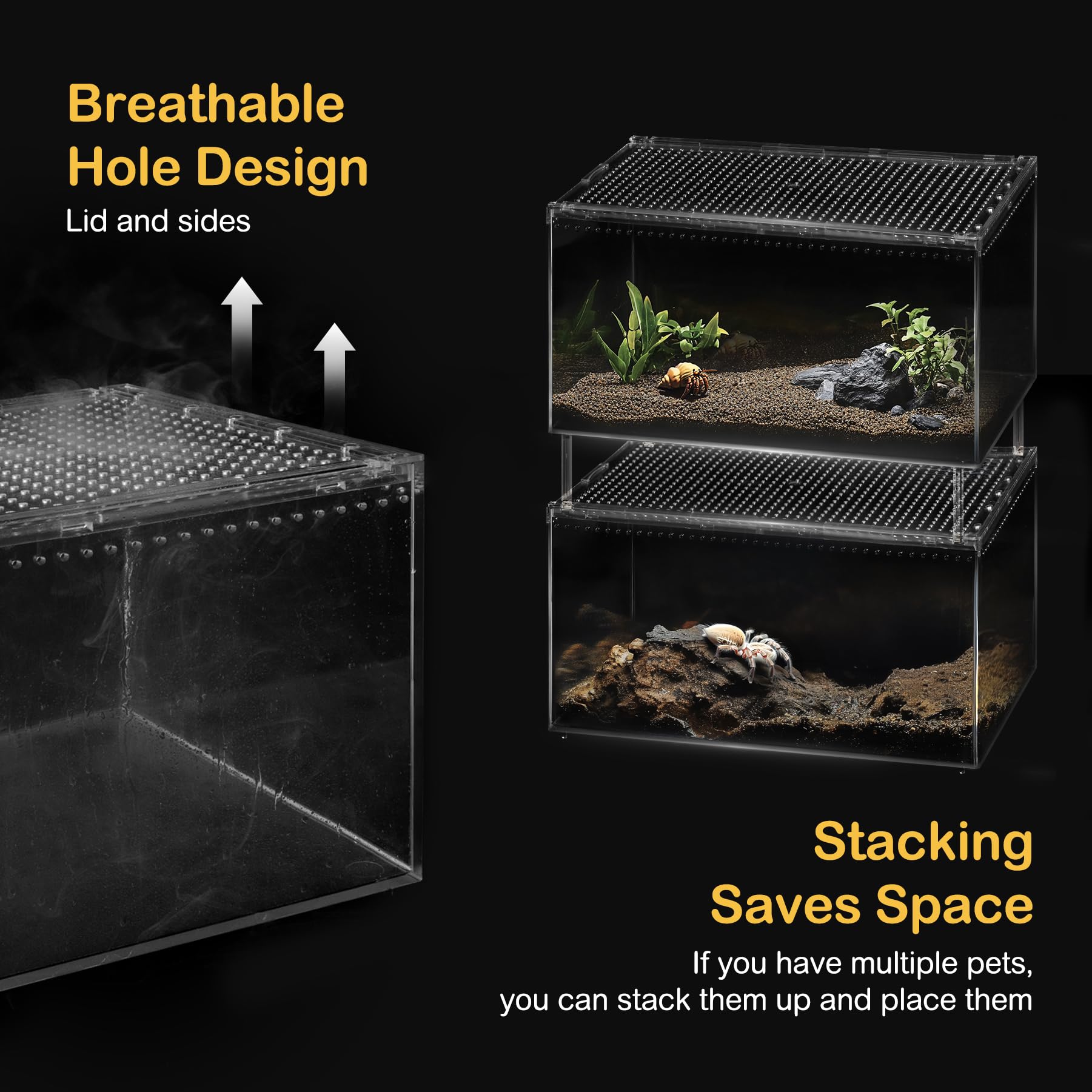 Clioran classroom use terrarium for teaching small pet care