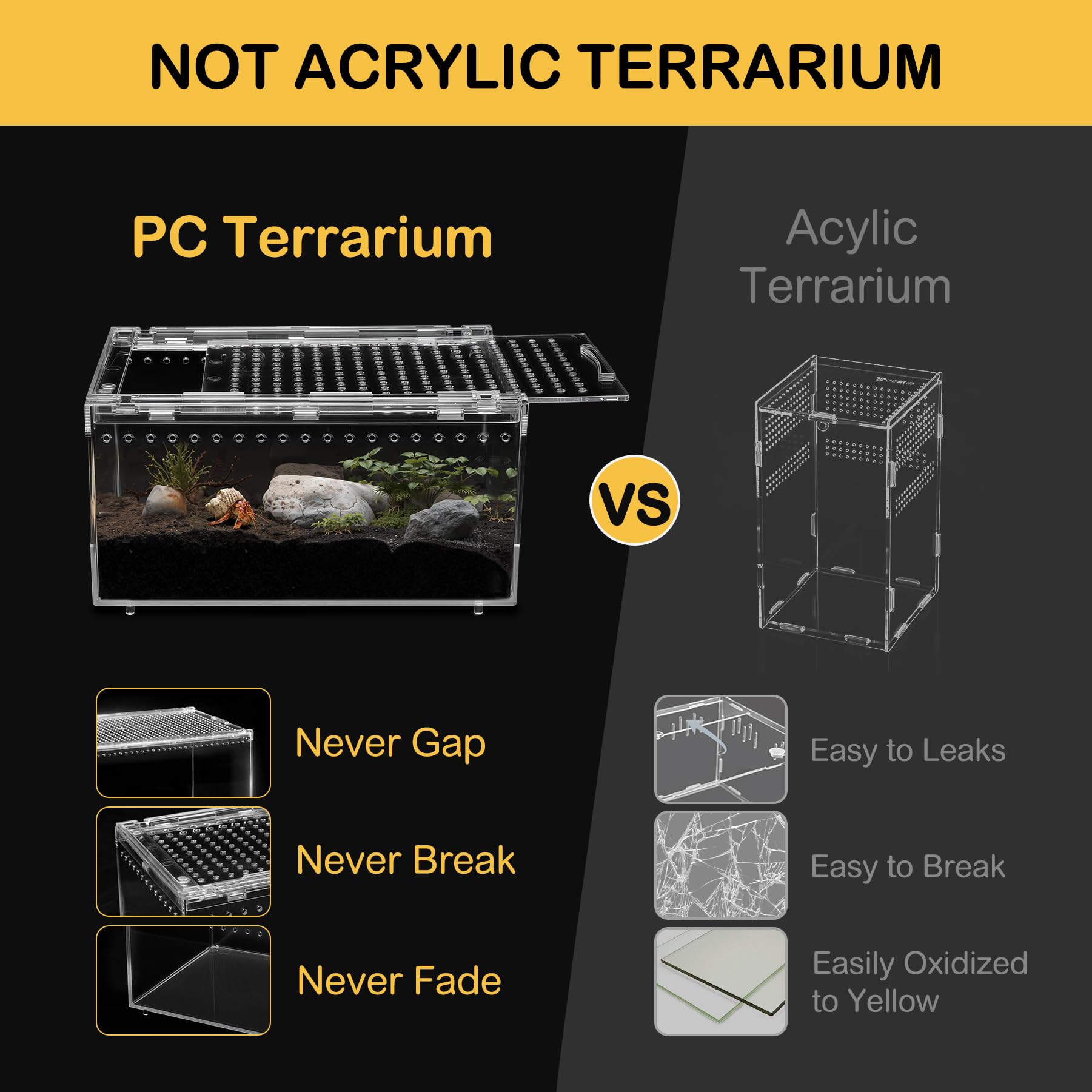 Clioran desktop display-friendly terrarium for desks