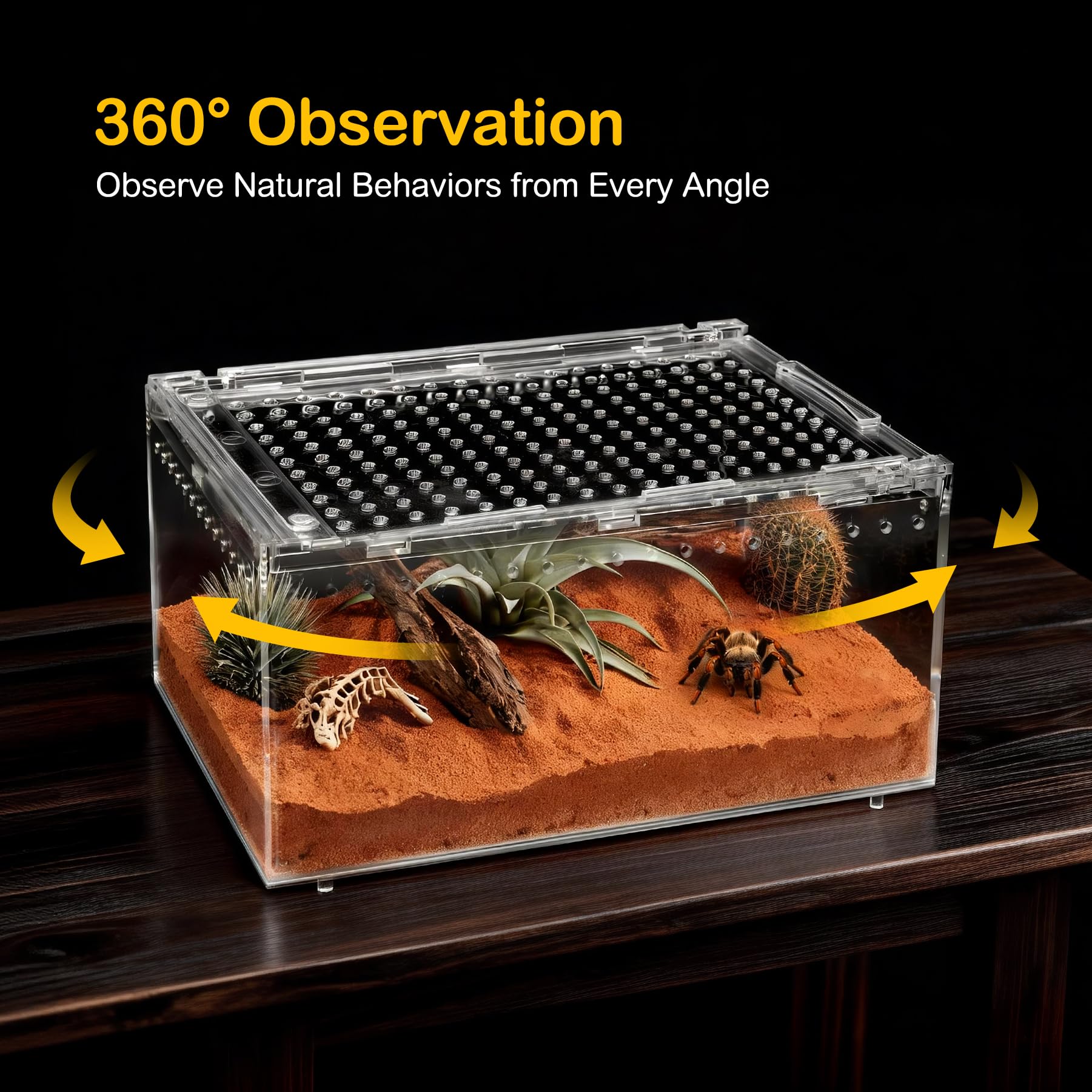 Clioran stackable design enables multiple tanks in a compact space.