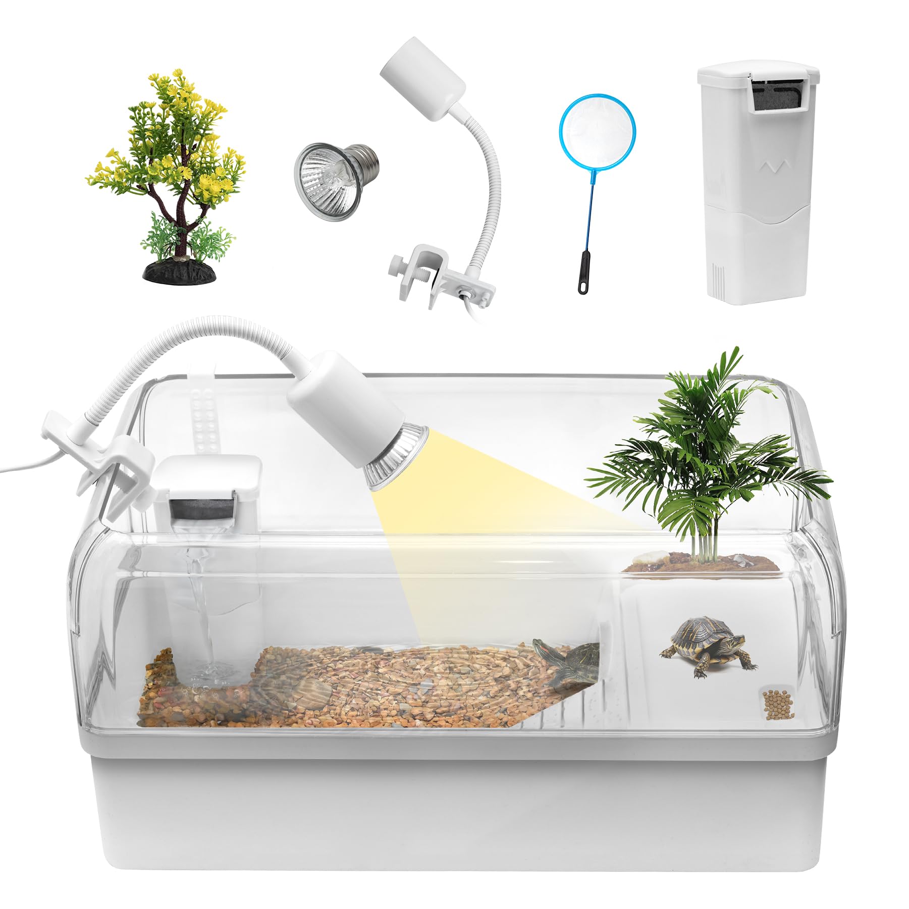 Clioran turtle-tank acrylic habitat for easy viewing of baby turtle behavior