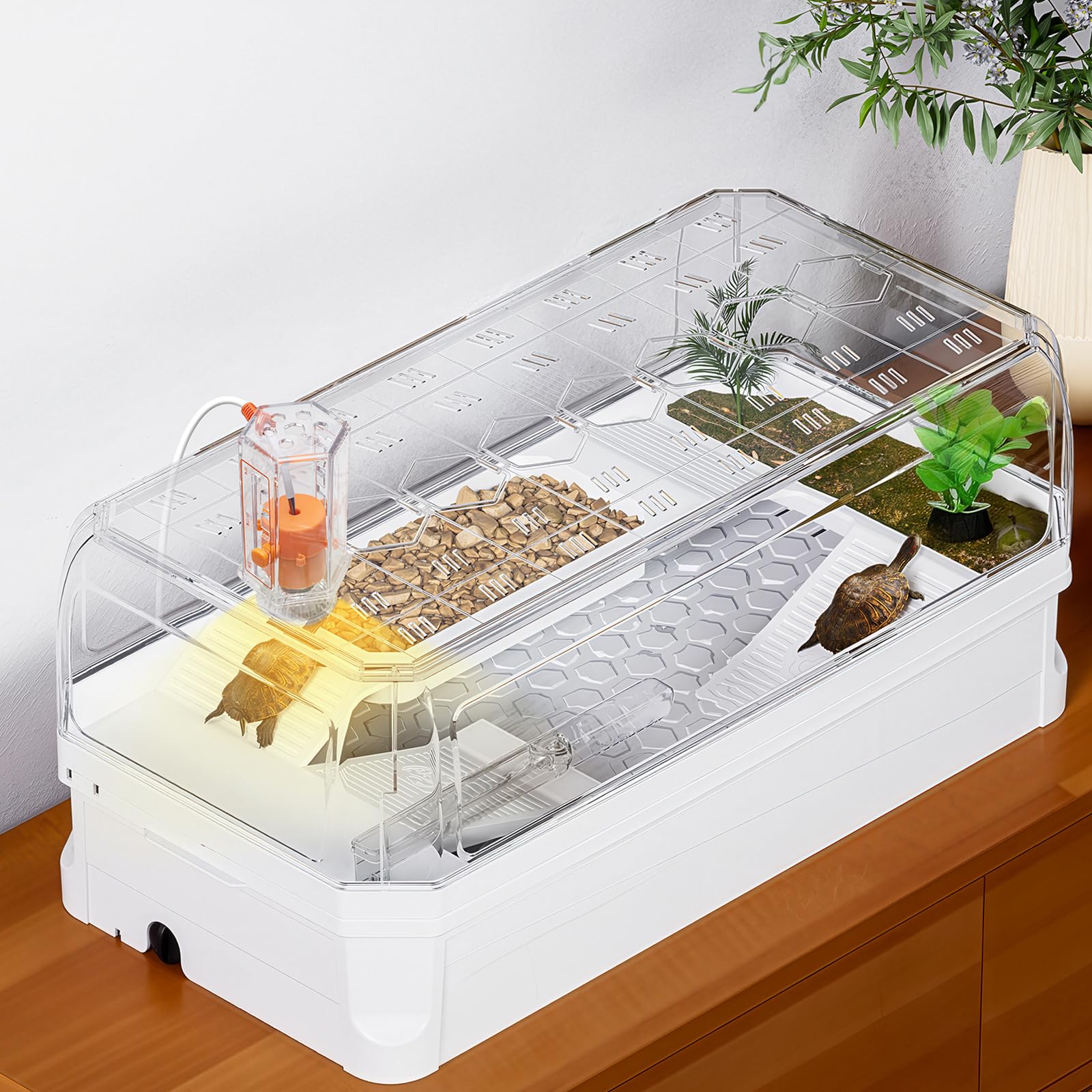 Clioran turtle tank kit with lid provides secure housing for young turtles
