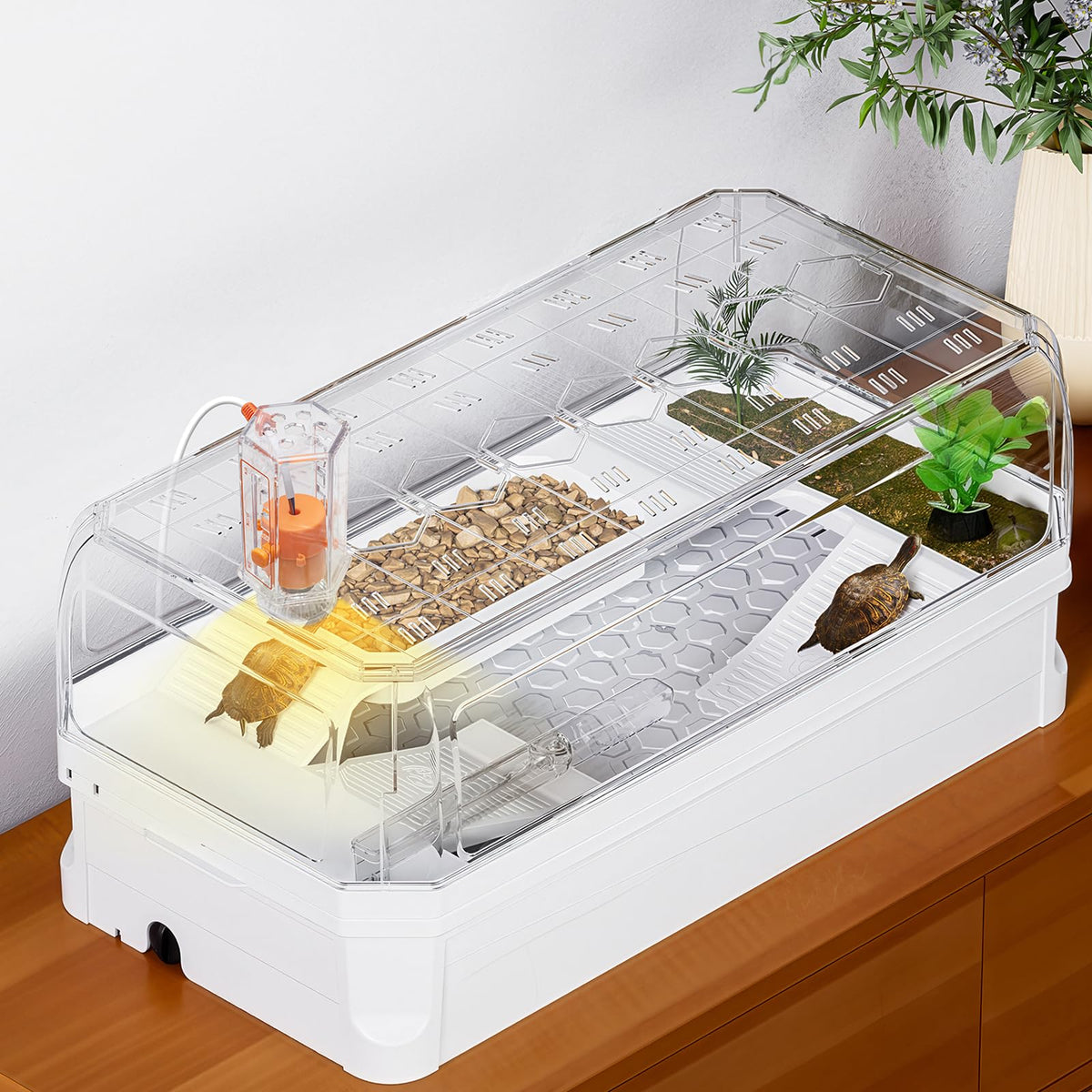 Clioran turtle tank kit with lid provides secure housing for young turtles
