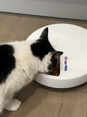 Closer Pets C500 pet-proof, tamper-resistant design adds stability during feeding.